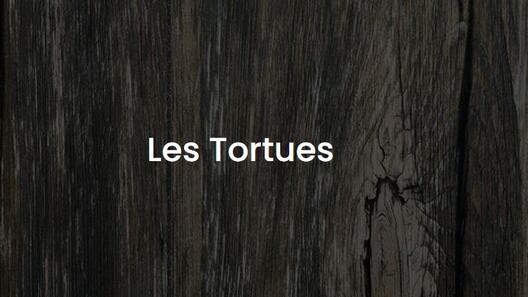 LES TORTUES