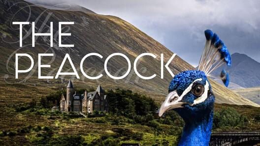 THE PEACOCK