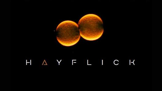 LA LIMITE DE HAYFLICK